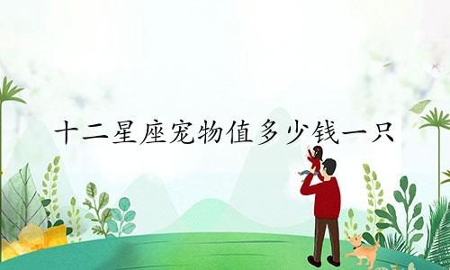 十二星座宠物值多少钱一只