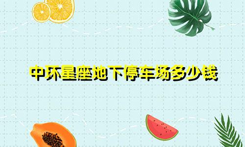 中环星座地下停车场多少钱