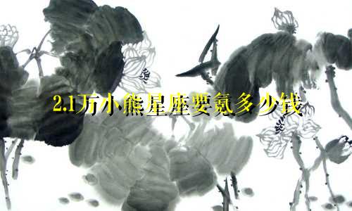 2.1万小熊星座要氪多少钱