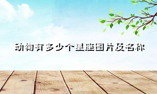 动物有多少个星座图片及名称