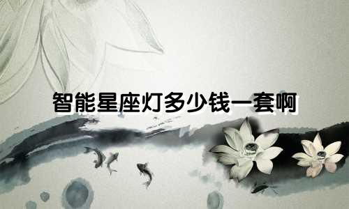 智能星座灯多少钱一套啊
