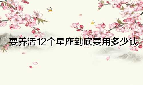 要养活12个星座到底要用多少钱