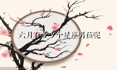 六月有多少个星座男孩呢