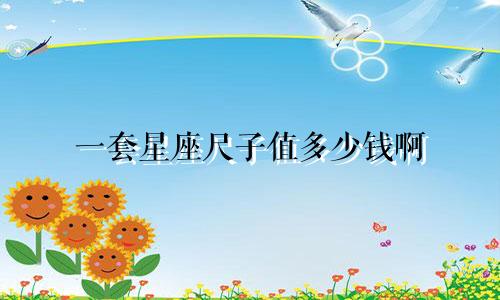 一套星座尺子值多少钱啊