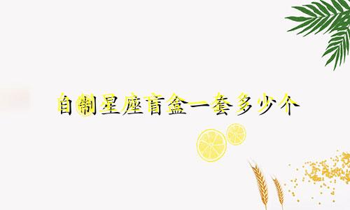 自制星座盲盒一套多少个