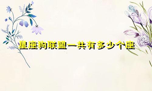星座狗联盟一共有多少个座