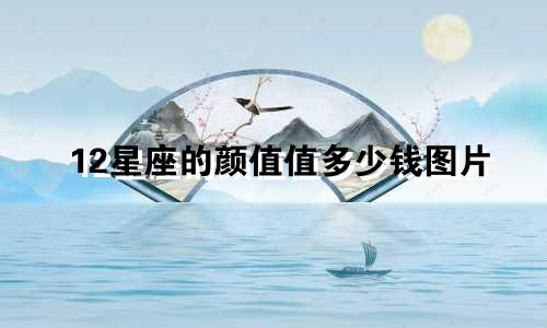 12星座的颜值值多少钱图片