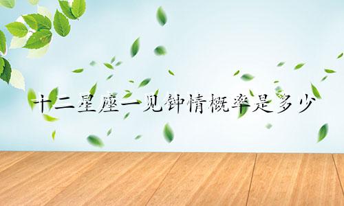 十二星座一见钟情概率是多少