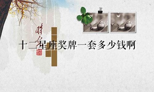 十二星座奖牌一套多少钱啊