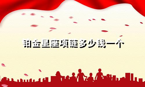 铂金星座项链多少钱一个