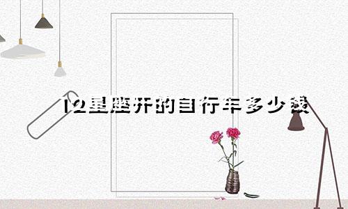 12星座开的自行车多少钱