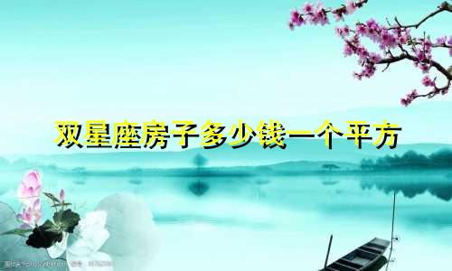 双星座房子多少钱一个平方