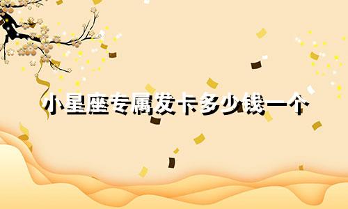小星座专属发卡多少钱一个