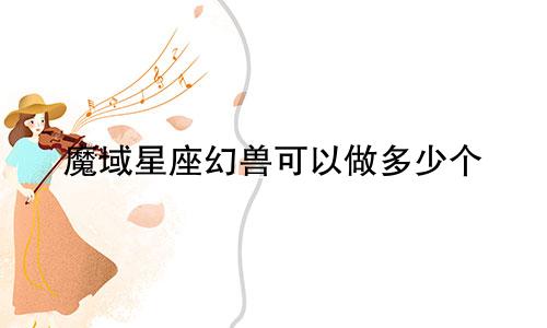 魔域星座幻兽可以做多少个