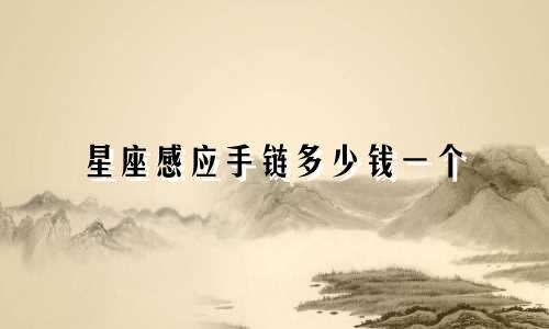 星座感应手链多少钱一个
