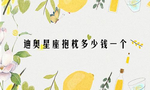 迪奥星座抱枕多少钱一个