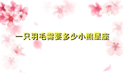 一只羽毛需要多少小熊星座