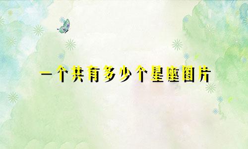 一个共有多少个星座图片