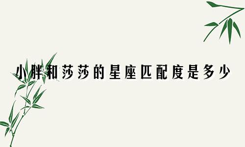 小胖和莎莎的星座匹配度是多少
