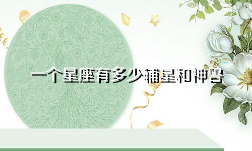 一个星座有多少辅星和神兽