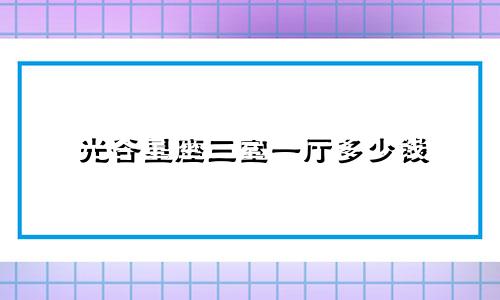 光谷星座三室一厅多少钱