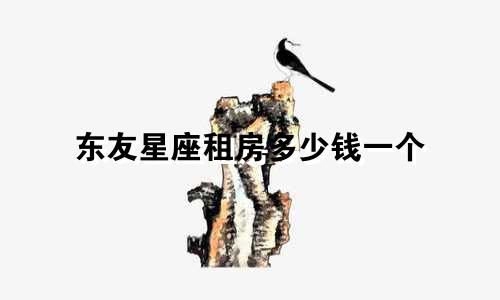 东友星座租房多少钱一个