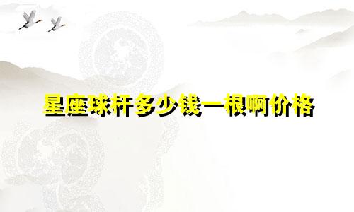 星座球杆多少钱一根啊价格