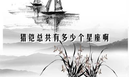 猎铠总共有多少个星座啊