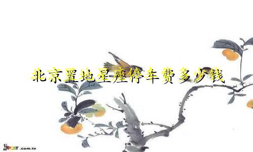 北京置地星座停车费多少钱