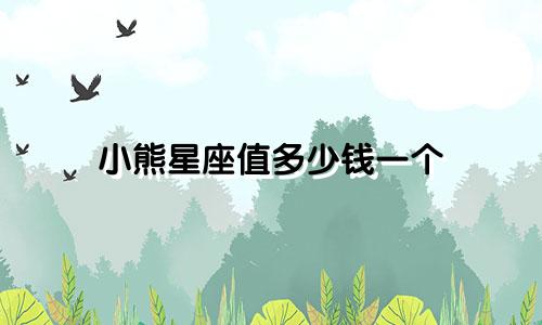 小熊星座值多少钱一个