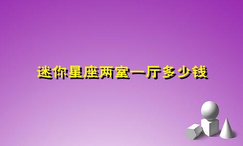 迷你星座两室一厅多少钱