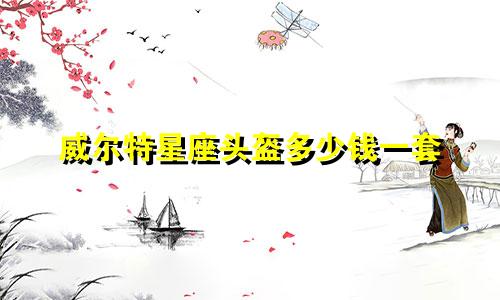 威尔特星座头盔多少钱一套