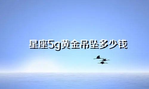 星座5g黄金吊坠多少钱