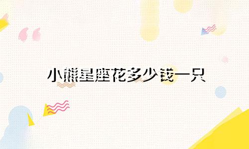 小熊星座花多少钱一只