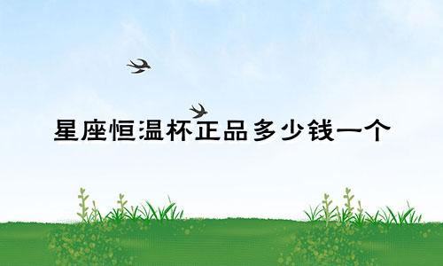 星座恒温杯正品多少钱一个