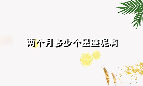 两个月多少个星座呢啊
