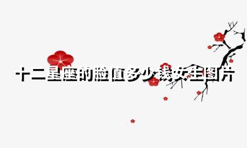 十二星座的脸值多少钱女生图片