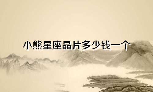 小熊星座晶片多少钱一个