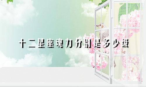 十二星座魂力分别是多少级