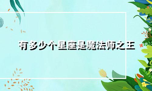有多少个星座是魔法师之王