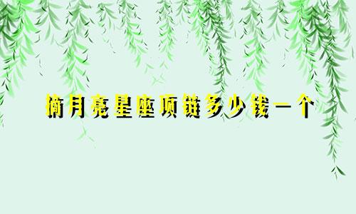 摘月亮星座项链多少钱一个