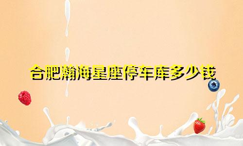 合肥瀚海星座停车库多少钱