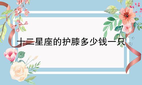 十二星座的护膝多少钱一只