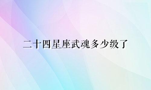 二十四星座武魂多少级了