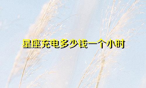星座充电多少钱一个小时