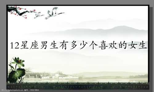 12星座男生有多少个喜欢的女生