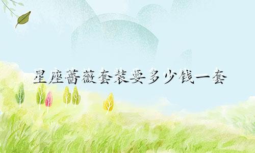 星座蔷薇套装要多少钱一套