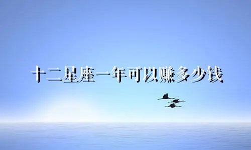 十二星座一年可以赚多少钱