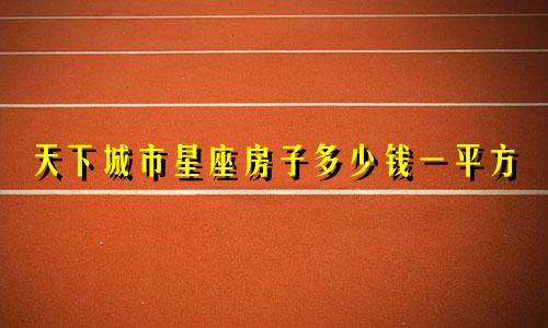 天下城市星座房子多少钱一平方