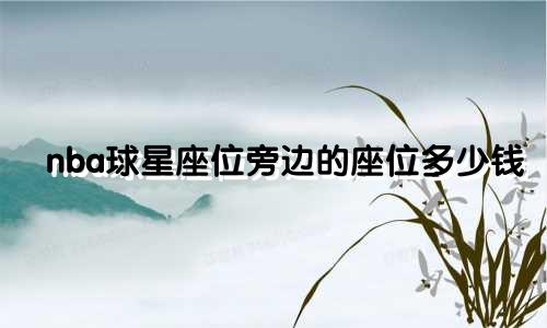 nba球星座位旁边的座位多少钱